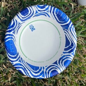 Blue and White Paper Plates